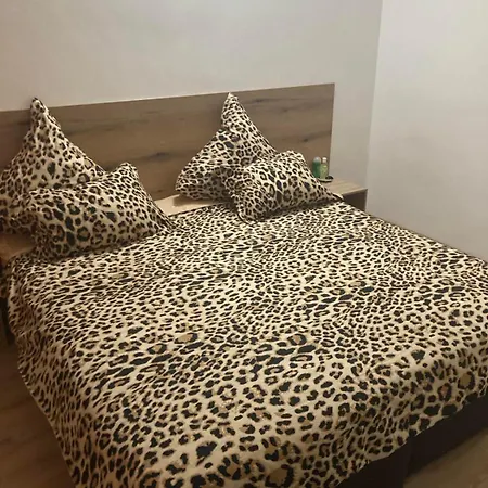 Casa De Zambini 普罗夫迪夫